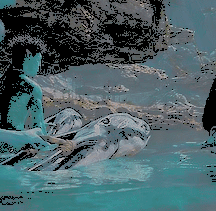 𝑪𝑳𝑨𝑵 𝑴𝑬𝑻𝑲𝑨𝒀𝑰𝑵𝑨